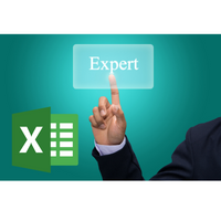 Excel 2016 Expert